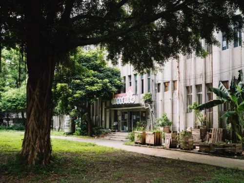 樂活小農園用廢棄棧板打造省水植栽箱，種植香草香料作物